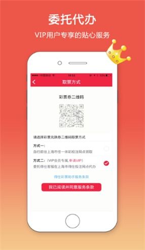 大华彩app软件的技术开发与销售策略解析