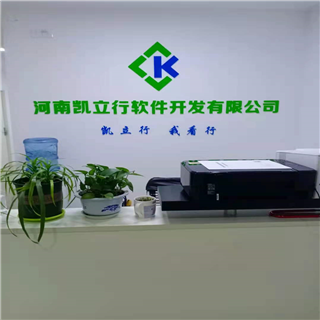 河南凯立行软件开发 匠心铸就技术，赋能数字化转型